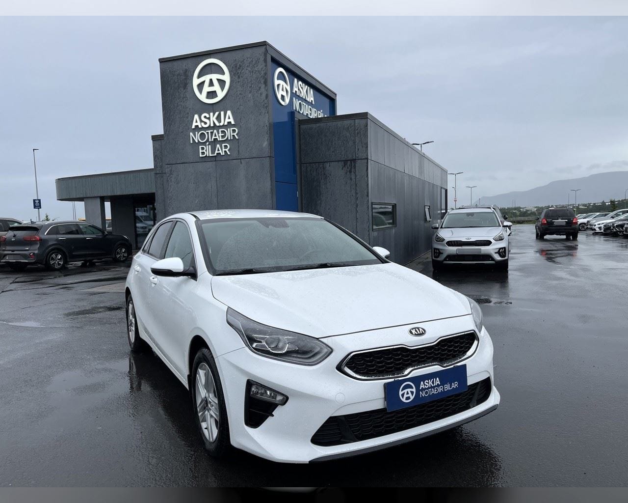 KIA CEED URBAN