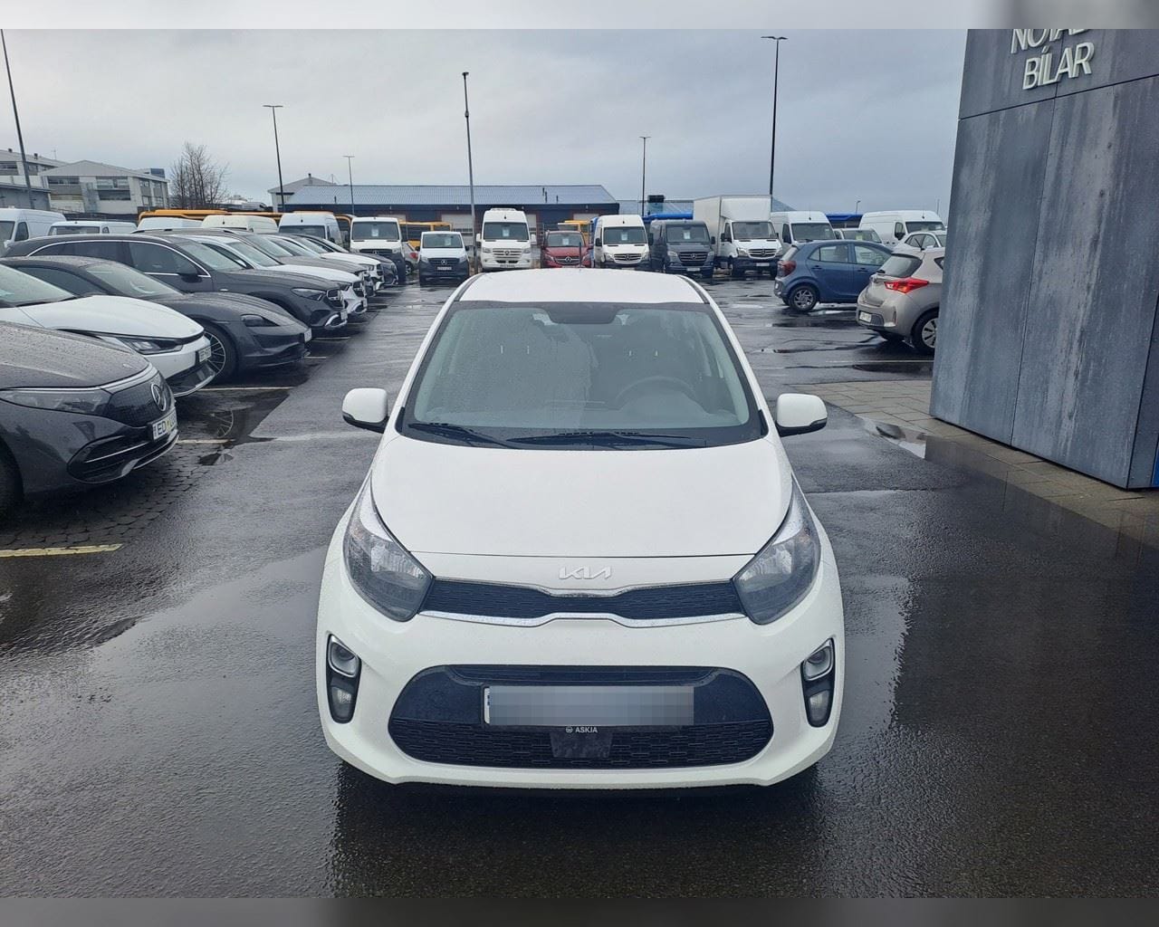 KIA PICANTO URBAN