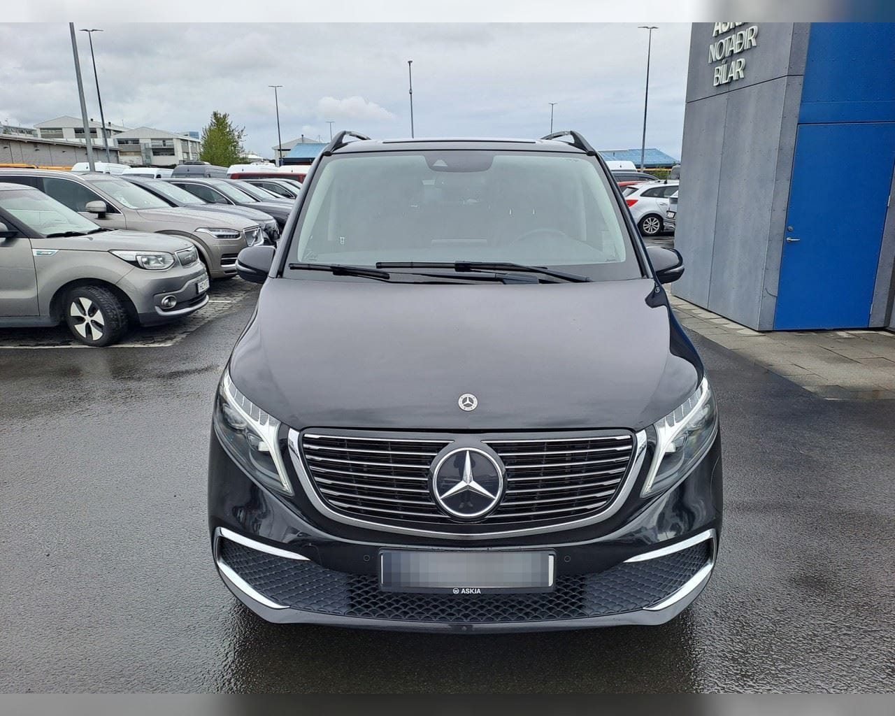 MERCEDES-BENZ EQV PROGRESSIVE LANGUR
