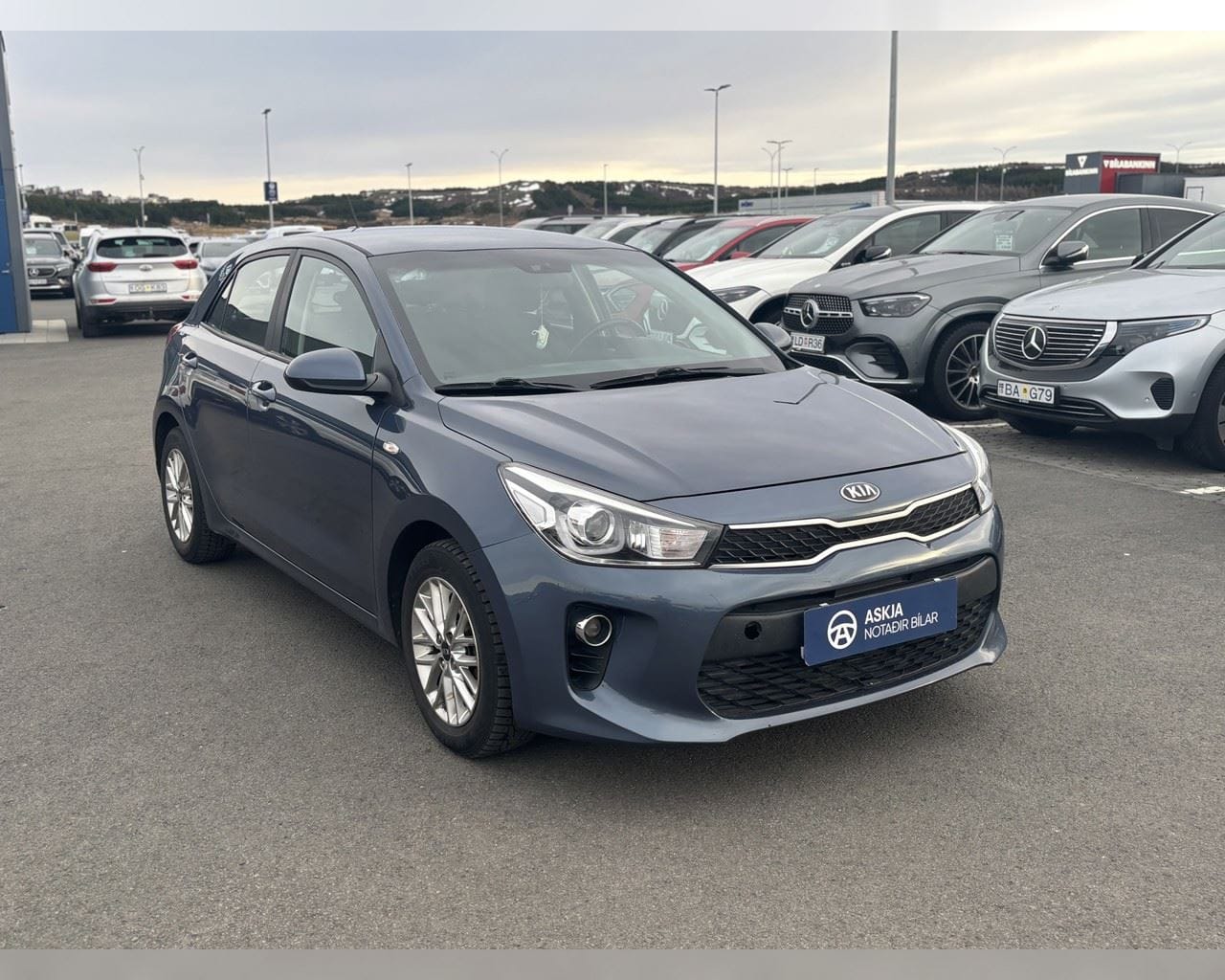 KIA RIO