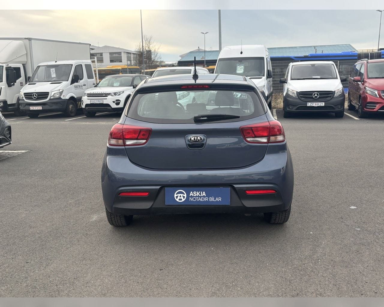 KIA RIO