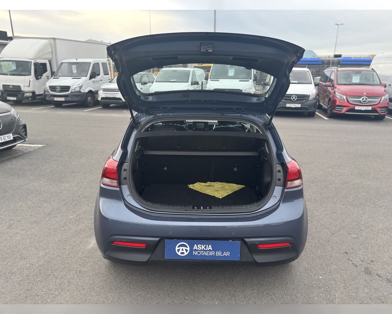 KIA RIO